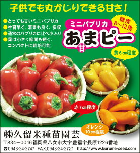  vĎc|@pvJ@Ãs[i܃s[jԁ@