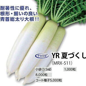  ێ _CR 卪 @YRĂÂ@1000