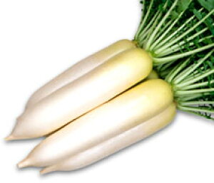 ێ _CR  卪@YRÂ@20ml