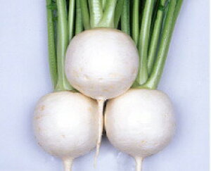 丸種 カブ CR味くらべ 2dl