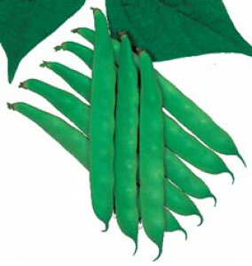 ێ CQ 䰁EȂEȂ oCJ@1dl