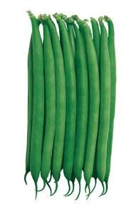 ێ CQ 񂰂  Ȃ Ȃ@og @2000