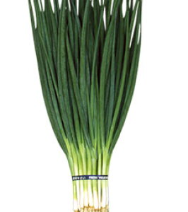 �ێ� �l�M �t�����@1L