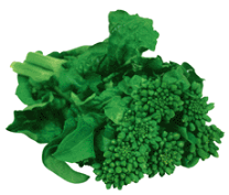 【循環改造済み】CR金の花満開 楽天市場】cr花満開の通販