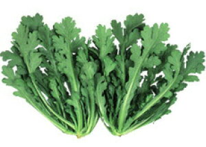 ێ VMN ΂ (肵񂬂)@1dl