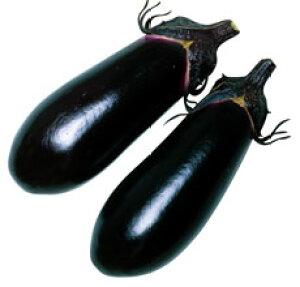 丸種 ナス 黒雄 1000粒
