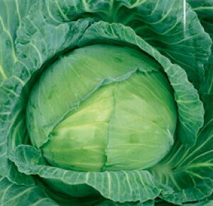 ێ Lxc ׂ@Η@R[g5000