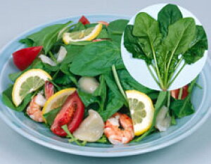 ێ zE\E ق񂻂 @@@T_ق񂻂@