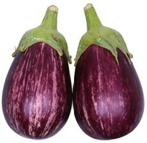丸種 ナス 縞むらさき 小袋
