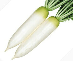 ێ _CR PЂт@R[g 5000