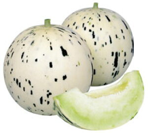 たね 丸種 メロン 種子 月しずく 100粒