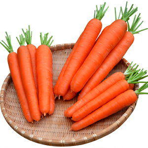  ێ jW lQ ɂ񂶂@T_lQ@