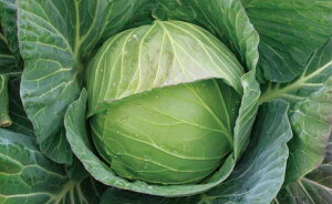 c̎@tn643R@Lxcq@3000