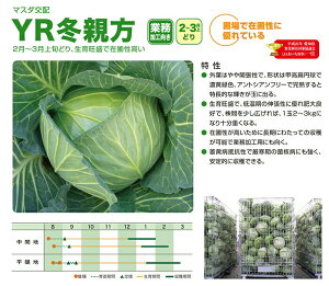 c̎@YR~e@Lxcq@