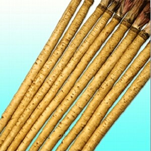 みかど協和 ゴボウ あずま早太り白肌(あずまはやぶとりしろはだ) 20ml