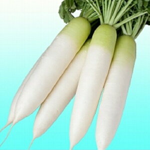 ݂ǋa _CR _(͂ق܂)@500