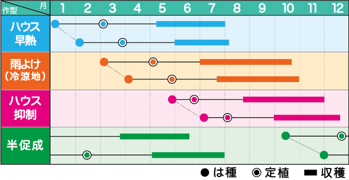 みかど協和 トマト ひなた 小袋 | 種苗・園芸ショップ 種もり みかど協和 トマト ひなた 小袋 | 種苗・園芸ショップ 種もり
