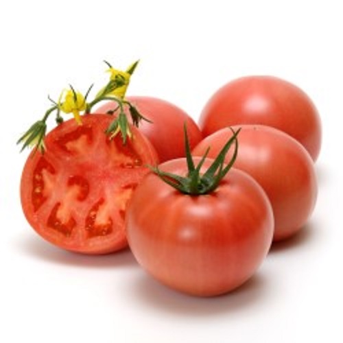 みかど協和 トマト ひなた　小袋 | 種苗・園芸ショップ 種もり