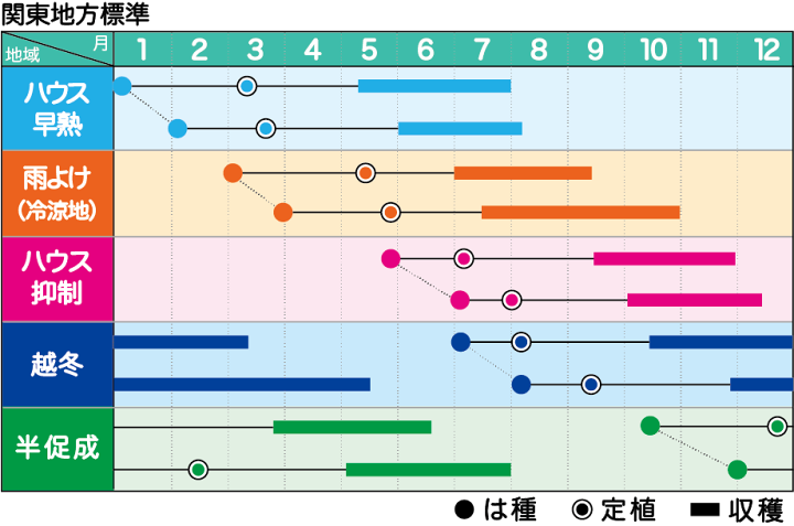 楽天市場】みかど協和 トマト みそら64 小袋 : 種苗・園芸ショップ 種もり 楽天市場】みかど協和 トマト みそら64 小袋 : 種苗・園芸ショップ 種もり