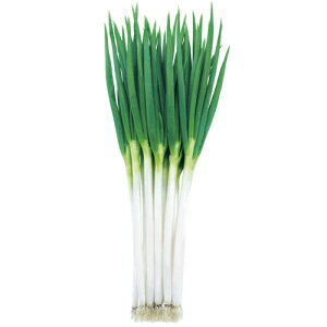  c lM K ˂@@iMSI-1242j1dl