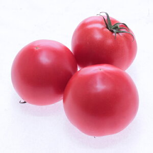  c g}g Ƃ܂Ɓ@(MST-1323)@100