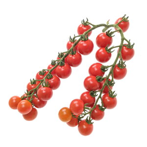  c ~jg}g MST-1328@100