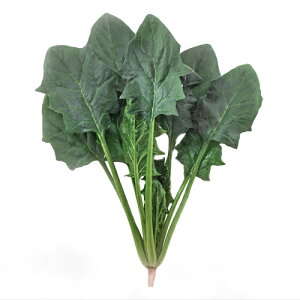  c zE\E @@ ق񂻂@ubVAbv19(MSS-1371)@1L