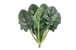  c zE\E ق񂻂 @@@O[Abv@M3