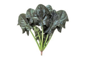  c zE\E ق񂻂 @@@CgAbv@L 1L