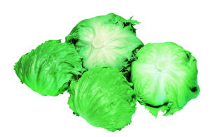  c ^X@tP@PVP @R[g5000