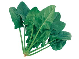 たね 武蔵野種苗園 ホウレンソウ ブレード10　1dl