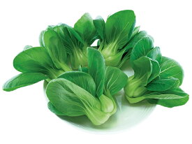 たね 武蔵野種苗園 ミニ青梗菜 コロポックル　20ml