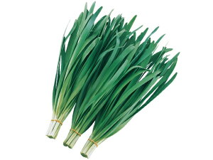  c j nCp[O[xg@2dl@PVP