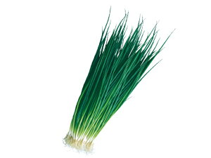  c lM ᎘(킩ނ炢)@2dl