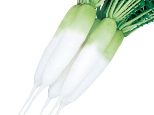  c _CR  卪@t܂2@20ml