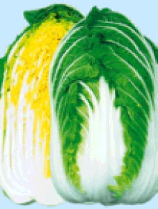 {_ nNTC ͂@݂ǂ蔒؁@R[g5000