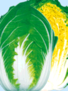{_ nNTC ͂@65@