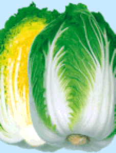 {_ nNTC ͂@v80؁@R[g5000