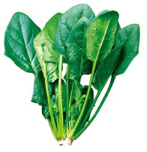 {_ zE\E ق񂻂 @@@Kh@3