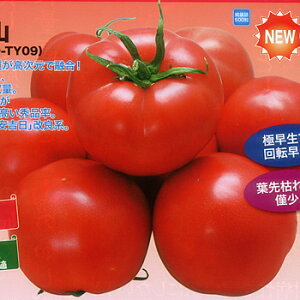 igc g}g Ƃ܂Ɓ@щΎR@500