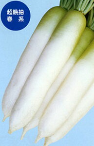  igc _CR 卪 @YRtl@2dl