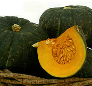 igc J{` Z ڂ@ӂӂ@