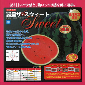 igc XCJ Z @c UEXEB[g@200