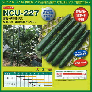 igc LE ӉZ イ@NCU-227@350