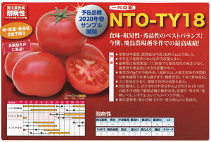 igc g}g Ƃ܂Ɓ@TYv}hi@500