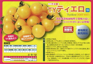 igc g}g Ƃ܂Ɓ@TYeBG@100