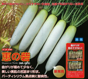たね ナント種苗 ダイコン 大根 だいこん 恵の砦 8000粒