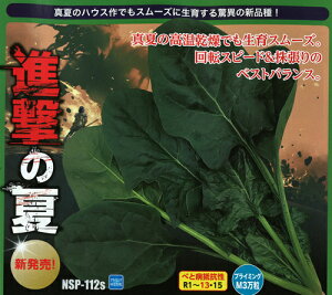  igc zE\E @@ ق񂻂@ỉā@PRM3