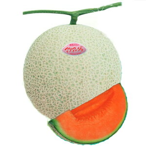 ナント種苗 メロン マリアージュ ルフレ ネオ 100粒