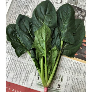  igc zE\E @@ ق񂻂@Ձ@PRM3